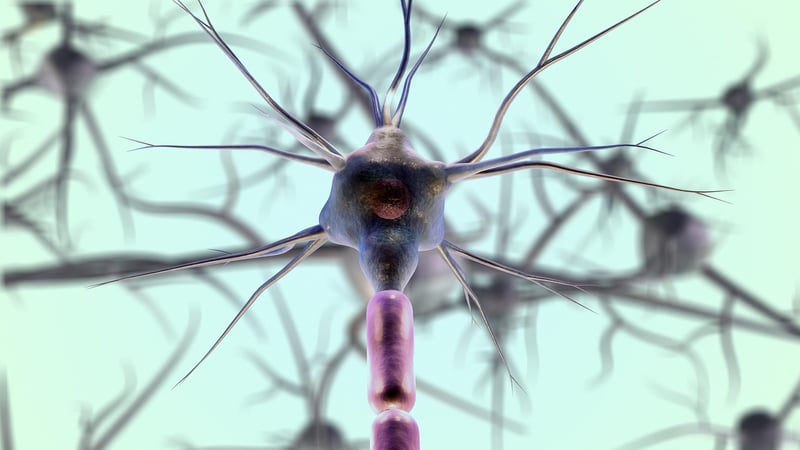 Neural Implants